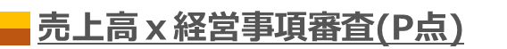 売上高ｘ経営事項審査P点